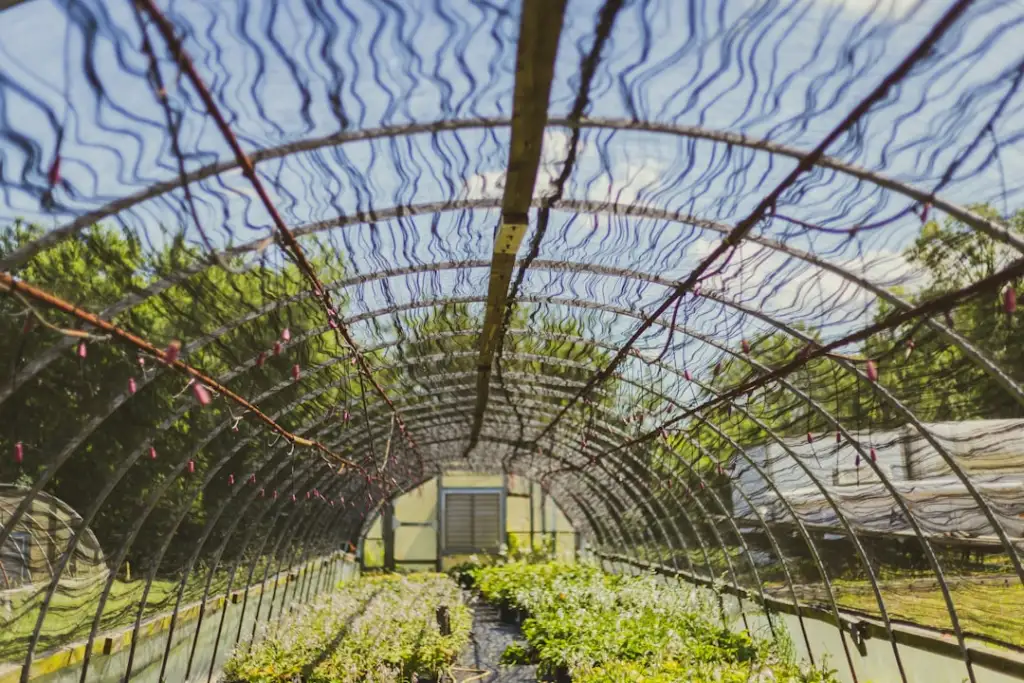 2025年工业电机启动保护技术趋势:软启动器智能化发展观察
